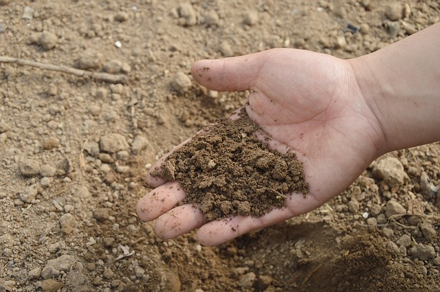 Best soil for a backyard garden - backyardgrowkits.com