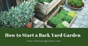 How to Start a Back Yard Garden: 10 Steps for Beginners.