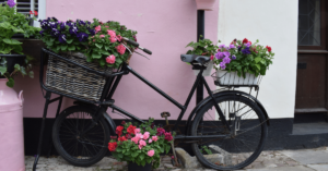 A bicycle basket planter box on the front and rear
