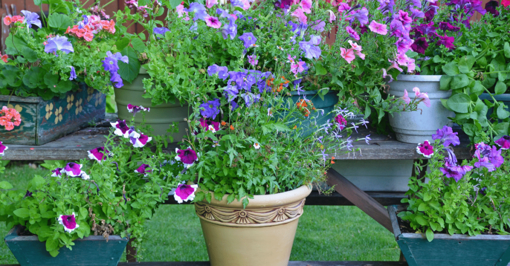 The Complete Guide to What a Planter Box is and How to Use Them for Your Home