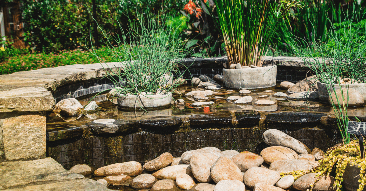One of the best gardening tips on planting you have to consider is nearness to the water source.