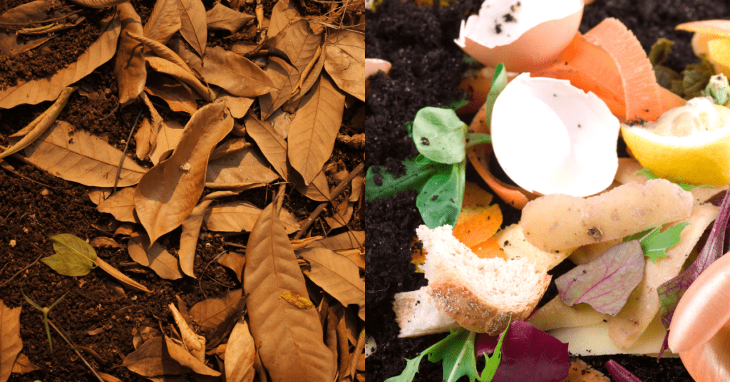 Types of Organic Matter Suitable for Composting