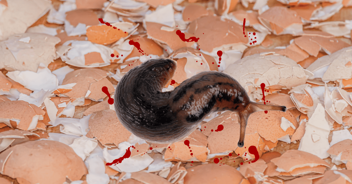 Say Goodbye to Chemicals How Eggshells Can Keep Your Garden PestFree